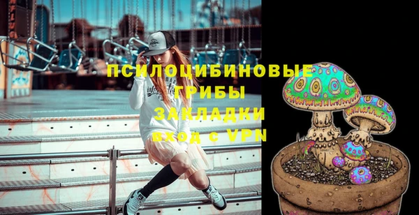 тгк Армянск