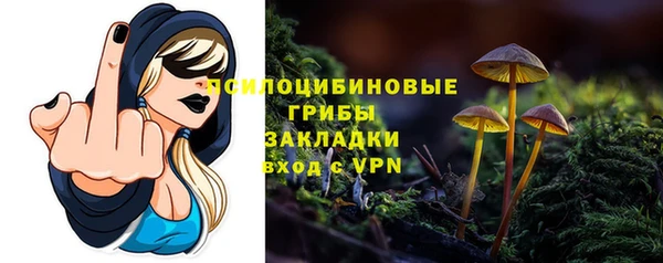 прущие крисы Аркадак
