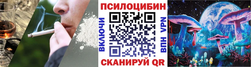 Галлюциногенные грибы Psilocybine cubensis  закладки  Брянск 
